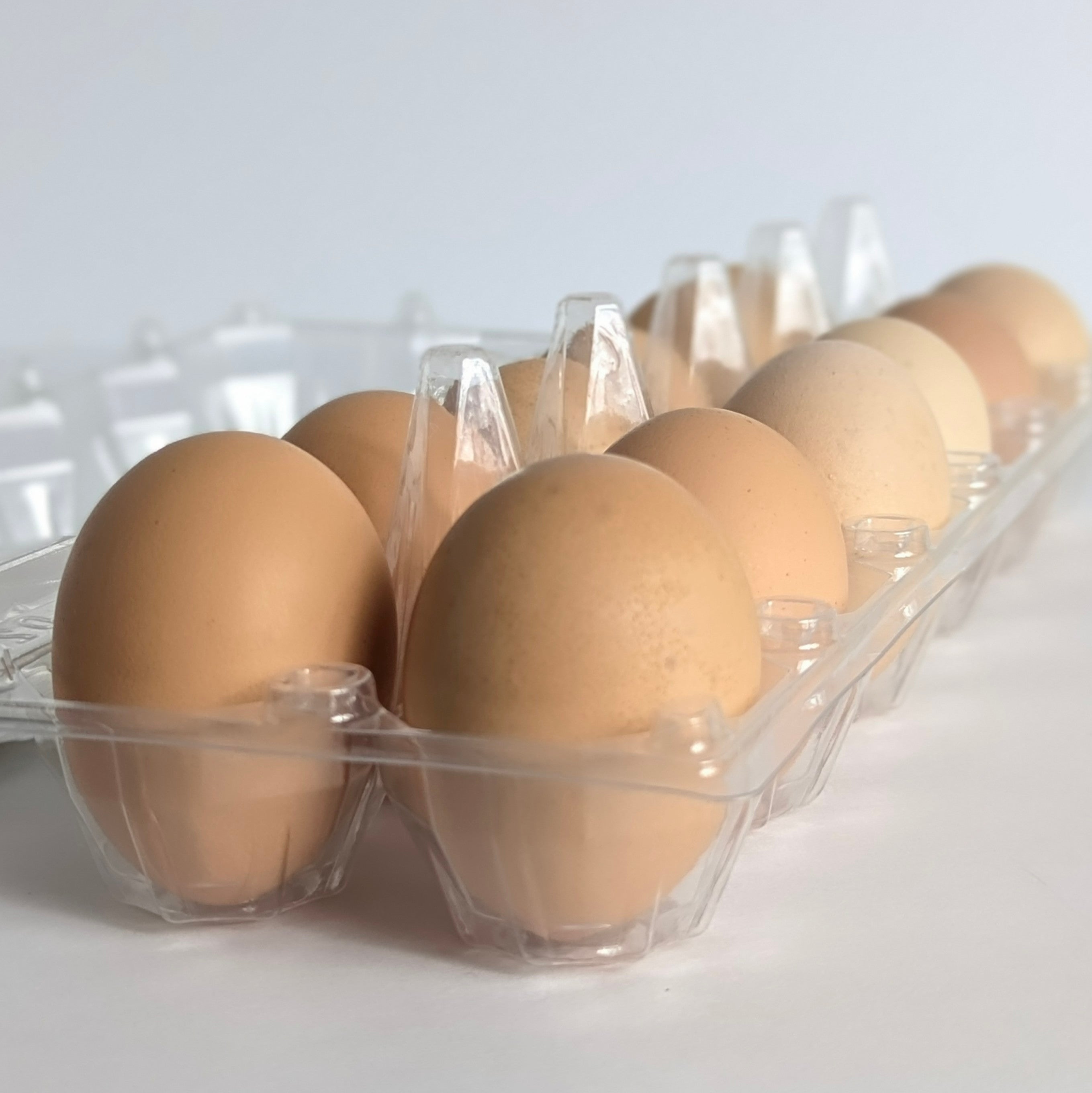Farm Fresh Eggs - Brown