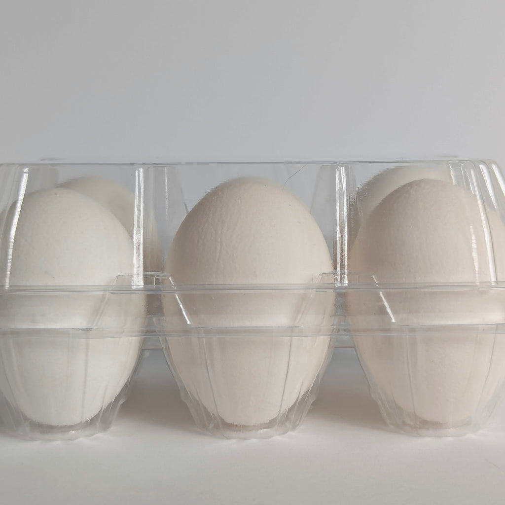 Farm Fresh Eggs - White
