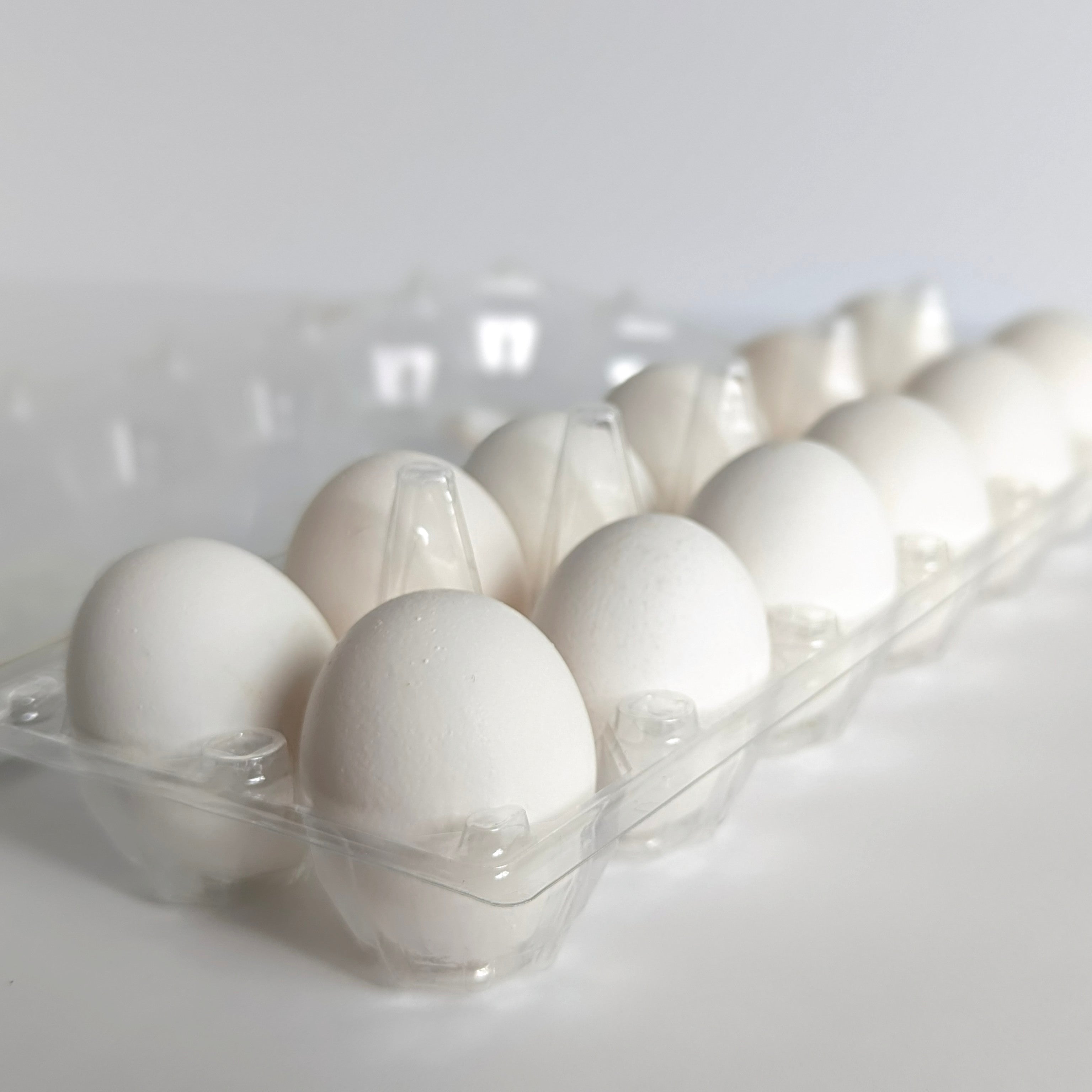 Farm Fresh Eggs - White