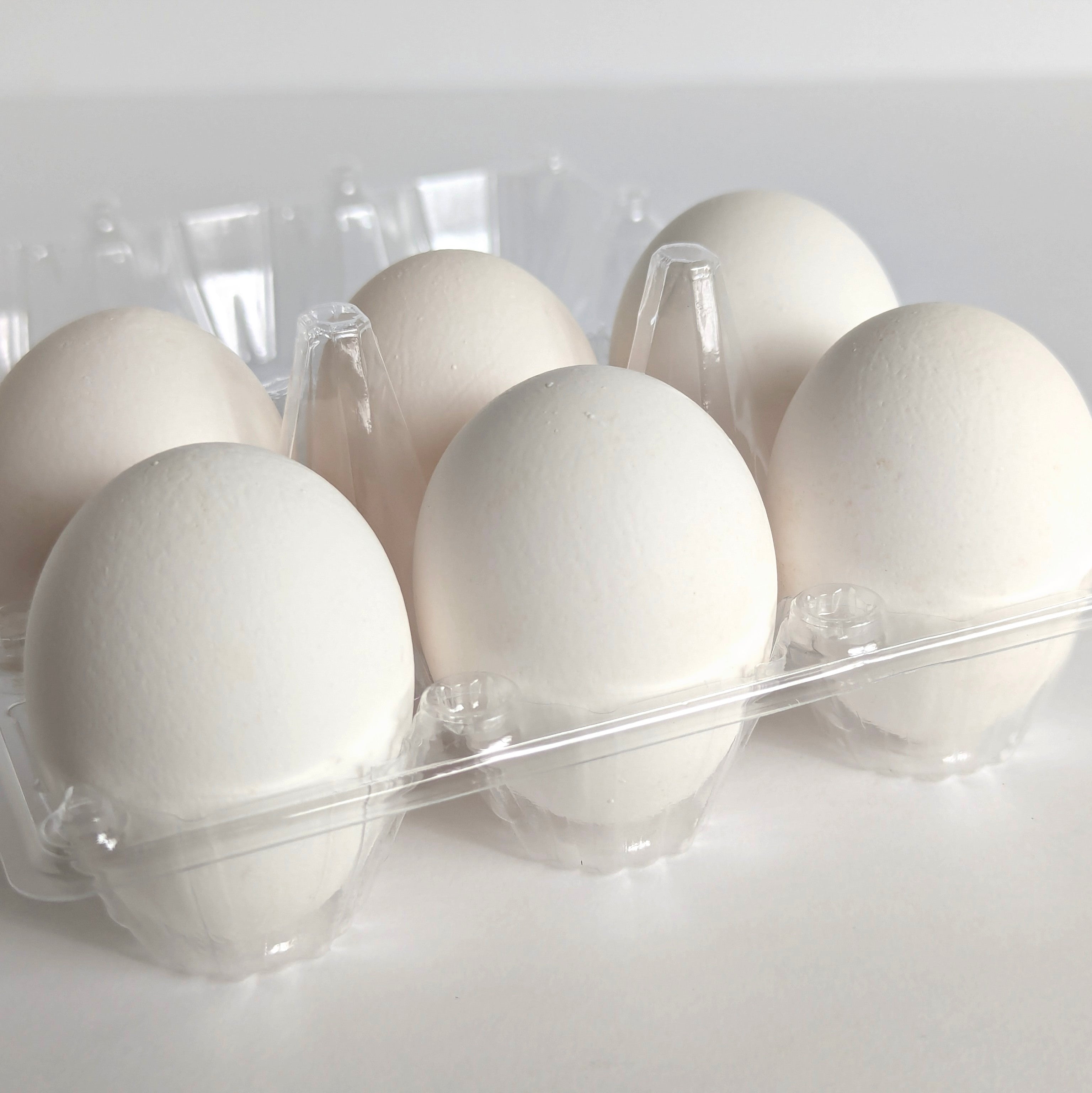 Farm Fresh Eggs - Unique & Specialty