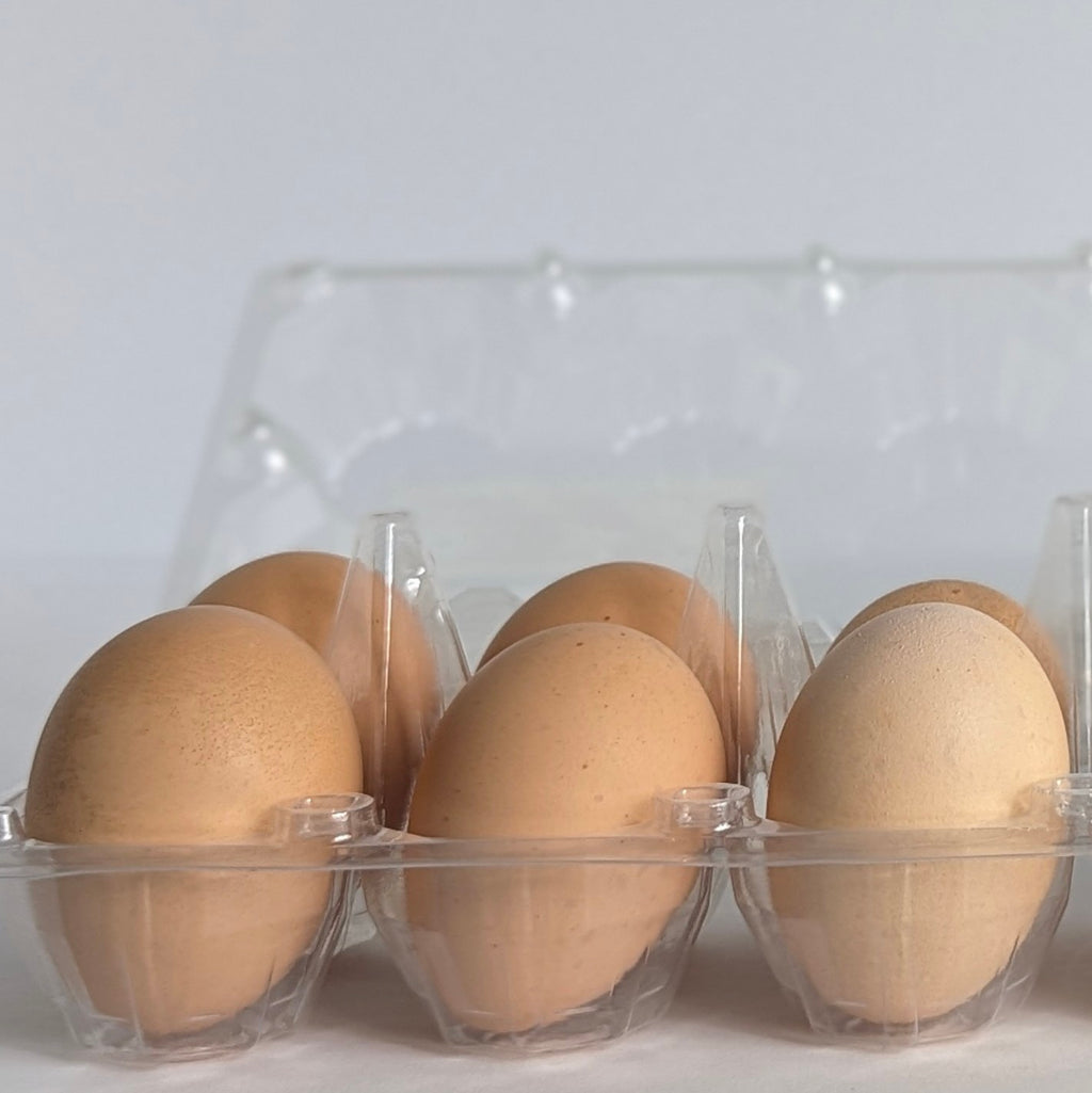 Farm Fresh Eggs - Brown