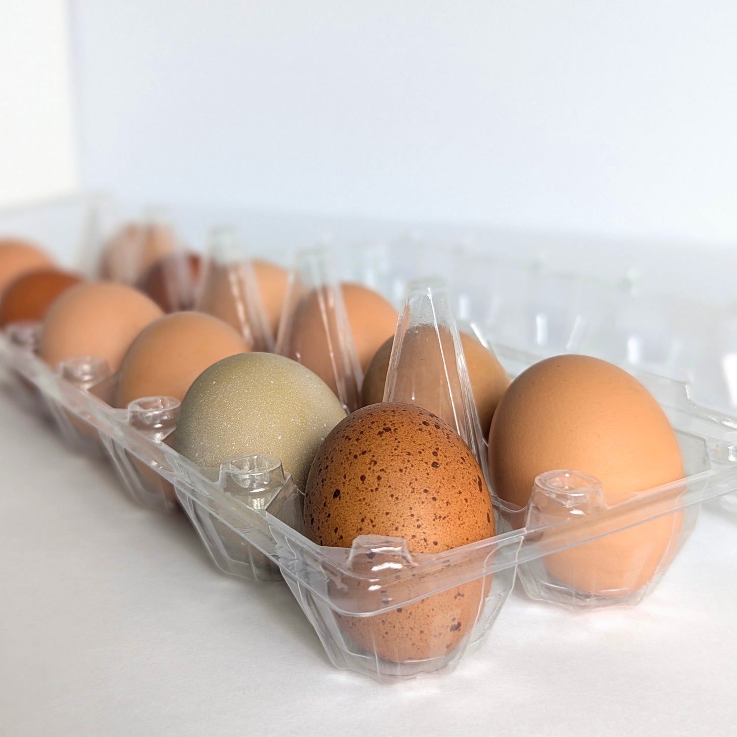 Farm Fresh Eggs - Mixed Size